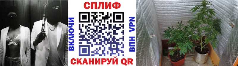 Бошки Шишки OG Kush  цены наркотик  Северо-Курильск 